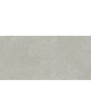 Bellagio Gray 58x120